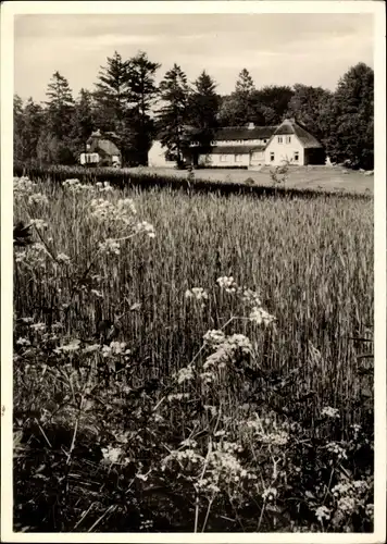 Ak Malente in Ostholstein, Wiesenhof am Kellersee