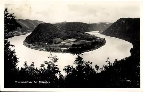 Ak Schlögen Haibach ob der Donau Oberösterreich, Donauschleife