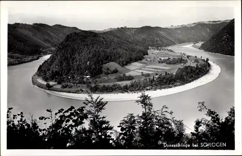 Ak Schlögen Haibach ob der Donau Oberösterreich, Donauschlinge