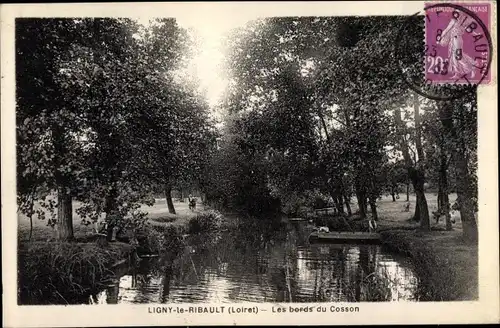 Ak Ligny le Ribault Loiret, Les bords du Cosson