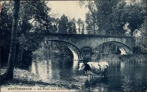 Ak Montcresson Loiret, Le Pont sur le Loing, Kuh im Fluss stehend
