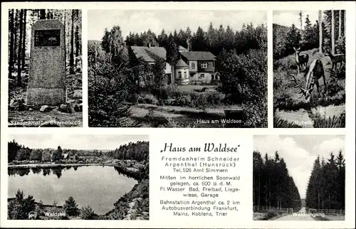 Ak Argenthal im Hunsrück, Haus am Waldsee, Denkmal, Rotwild, Waldsee, Waldpartie