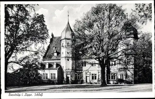 Ak Barntrup in Lippe, Schloss