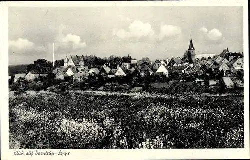 Ak Barntrup in Lippe, Panorama