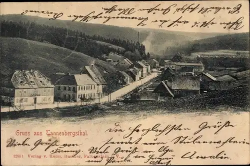 Ak Tannenbergsthal Muldenhammer im Vogtland, Panorama