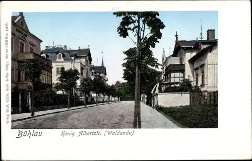 Leuchtfenster Ak Dresden Bühlau, König Albert Straße, Waldende