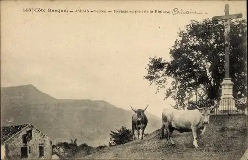 Ak Ascain Pyrénées Atlantiques, Paysage au pied de la Rhune