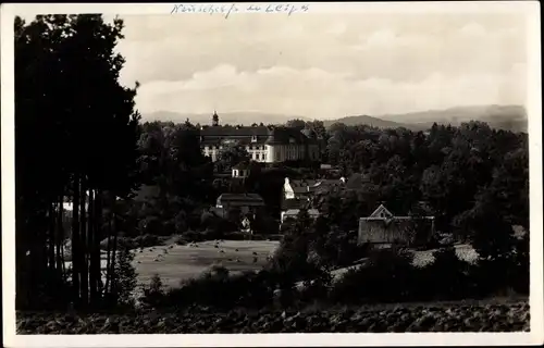 Ak Nové Zámky Neuschloß Dolní Olešnice Nieder Oels Region Königgrätz, Panorama