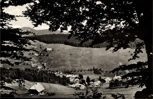 Ak Todtnauberg im Schwarzwald, Gesamtansicht