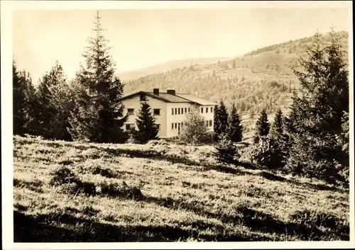 Ak Feldberg im Schwarzwald, Emmendinger Hütte, Wald