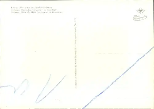 Ak Köln am Rhein, Dom in Festbeleuchtung