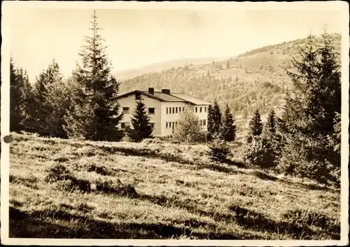 Ak Feldberg im Schwarzwald, Emmendinger Hütte, Wald