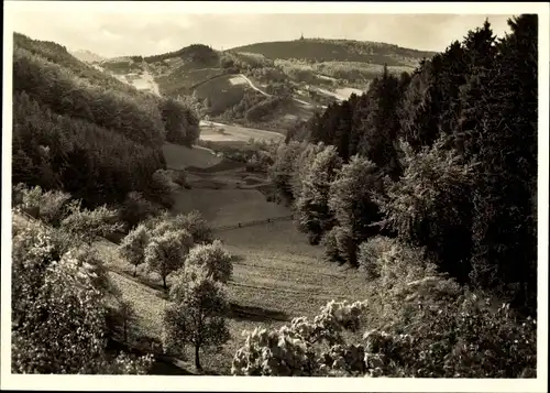 Ak Detmold in Nordrhein Westfalen, Teutoburger Wald, Blick von der Sommerfrische Hangstein