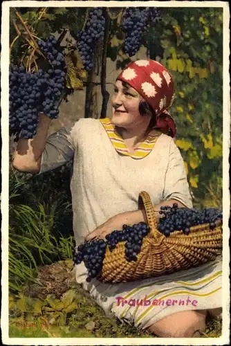 Ak Kanton Tessin, Costumi ticinesi, Traubenernte