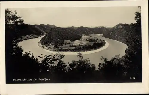 Ak Schlögen Haibach ob der Donau Oberösterreich, Donauschlinge