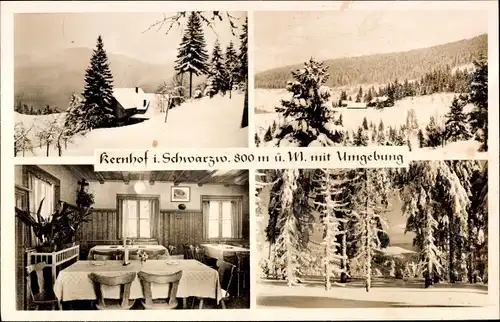 Ak Seebach in Baden Schwarzwald, Gasthof Kernhof, Winteridyll