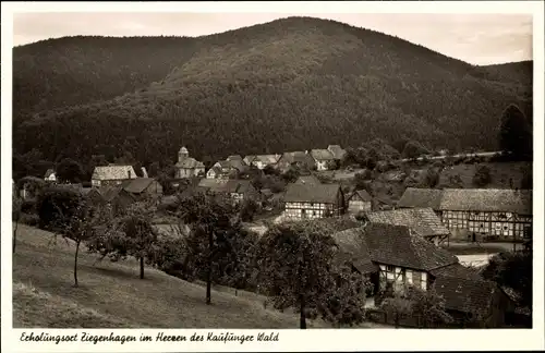 Ak Ziegenhagen Witzenhausen im Werra Meißner Kreis, Ortsansicht, Kaufunger Wald 