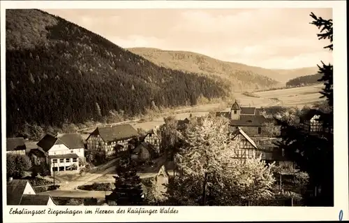 Ak Ziegenhagen Witzenhausen in Hessen, Teilansicht