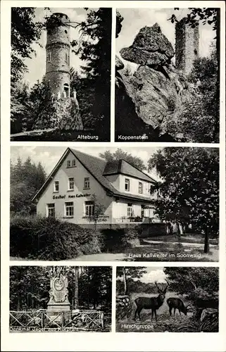 Ak Kallweiler Bad Sobernheim an der Nahe, Alteburg, Koppenstein, Hirsche, Denkmal, Haus Kallweiler