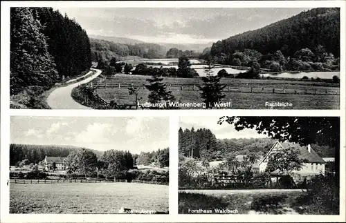 Ak Bad Wünnenberg in Westfalen, Fischteiche, Forsthaus Waldbach, Mühle Aatal