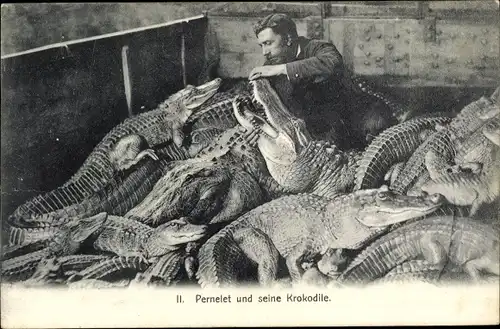 Ak Pernelet und seine Krokodile, Dompteur