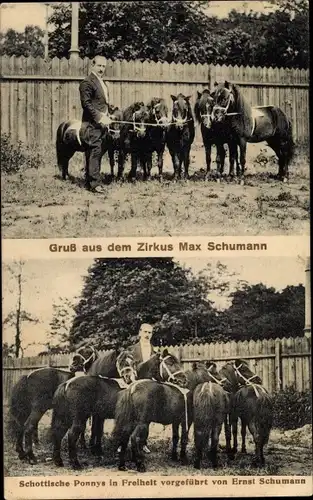 Ak Zirkus Max Schumann, Schottische Ponys, Ernst Schumann