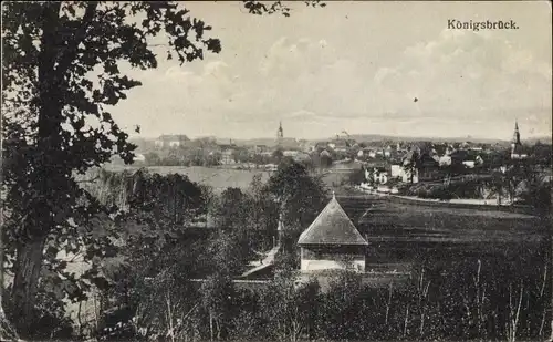 Ak Königsbrück, Blick zur Stadt hin, Felder, Kirchtürme