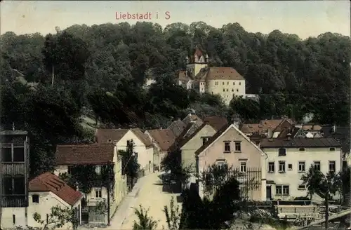 Ak Liebstadt Erzgebirge Sachsen, Schloss Kuckuckstein, Ortspartie