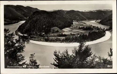 Ak Schlögen Haibach ob der Donau Oberösterreich, Donauschlinge, Oberdonau