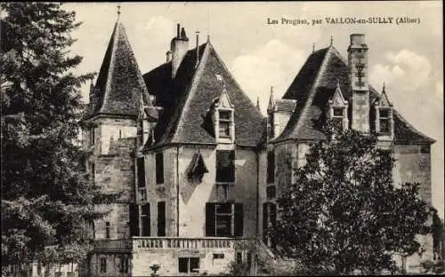 Ak Vallon en Sully Allier, Les Prugnes