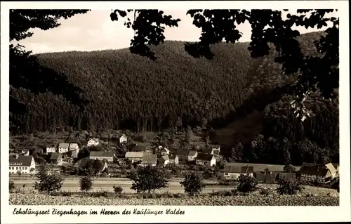 Ak Ziegenhagen Witzenhausen im Werra Meißner Kr., Gast und Pensionshaus zur Krone, Bes. W. Blessmann