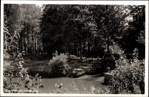 Ak Elze in Niedersachsen, Lindenweg