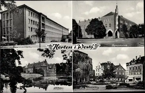 Ak Herten im Ruhrgebiet, Rathaus, Gymnasium, Schloss, Am Bramhügel