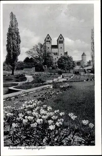 Ak Paderborn in Westfalen, Paderquellgebiet