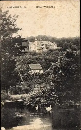 Ak Ilsenburg Harz, Hotel Waldhöhe, Teich u. Umgebung