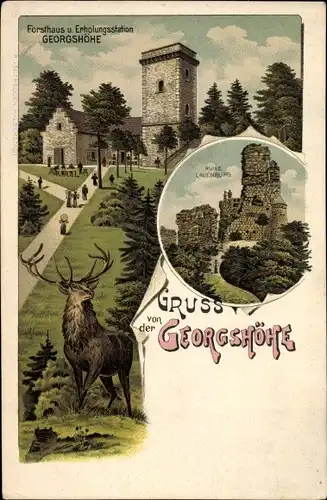 Litho Thale im Harz, Georgshöhe, Forsthaus und Erholungsstation, Hirsch