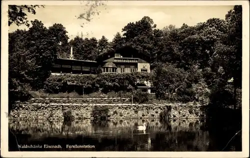 Ak Lutherstadt Eisenach in Thüringen, Waldschänke, Forellenstation, Johannistal