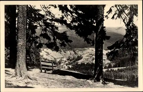 Ak Katzhütte Oelze im Schwarzatal, Blick ins Tal