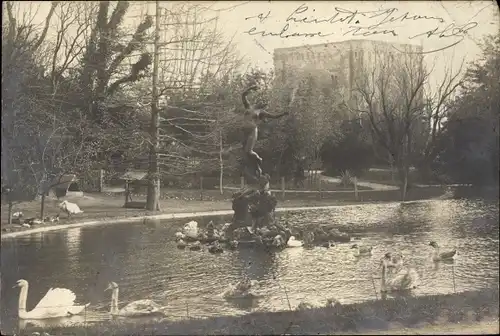 Foto Ak Avignon Vaucluse, Wasserpartie, Schwäne, Statue