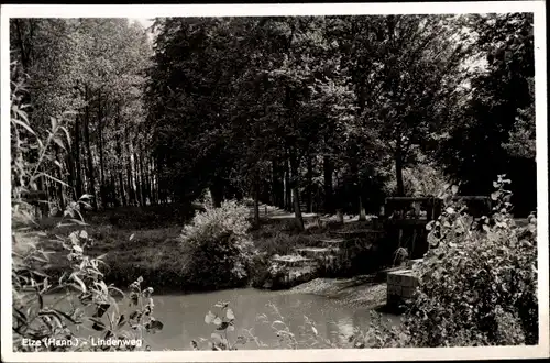 Ak Elze in Niedersachsen, Lindenweg