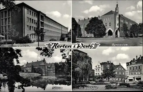 Ak Herten im Ruhrgebiet, Rathaus, Gymnasium, Schloss, Am Bramhügel