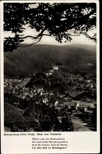 Ak Schwarzburg in Thüringen, Panorama vom Trippstein, Gedicht