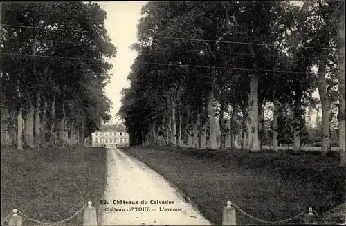 Ak Tour en Bessin Calvados, Le Chateau, L'avenue