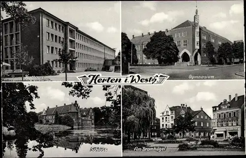 Ak Herten im Ruhrgebiet, Rathaus, Gymnasium, Schloss, Am Bramhügel
