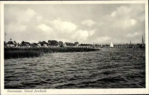 Ak Lembruch am Dümmersee, Brinkmeyers Strandlust, Segelpartie