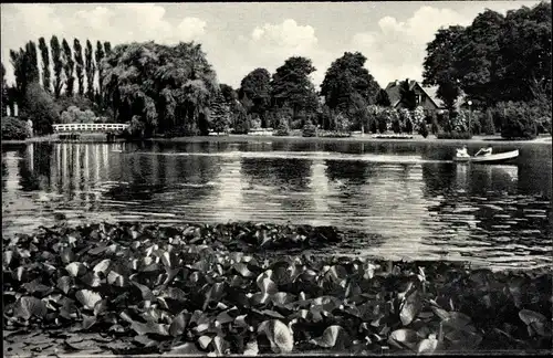 Ak Uetersen Schleswig Holstein, Rosarium, Uferpartie, Wasserpflanzen, Ruderboot