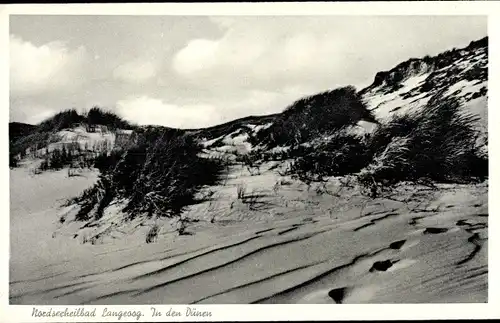 Ak Nordseebad Langeoog Ostfriesland, In den Dünen