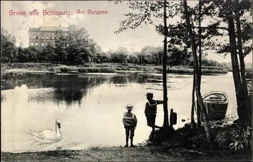 Ak Schleswig in Schleswig Holstein, Am Burgsee, Schwan