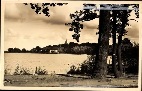 Foto Mirow in Mecklenburg Vorpommern, Seeblick, Ufer