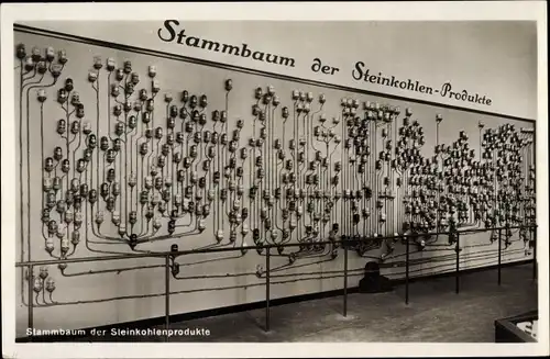 Ak München Bayern, Stammbaum der Steinkohlenprodukte, Deutsches Museum